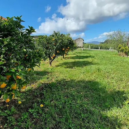 Casa De Lujo Con Pisicina Y Jardin En El Rural *